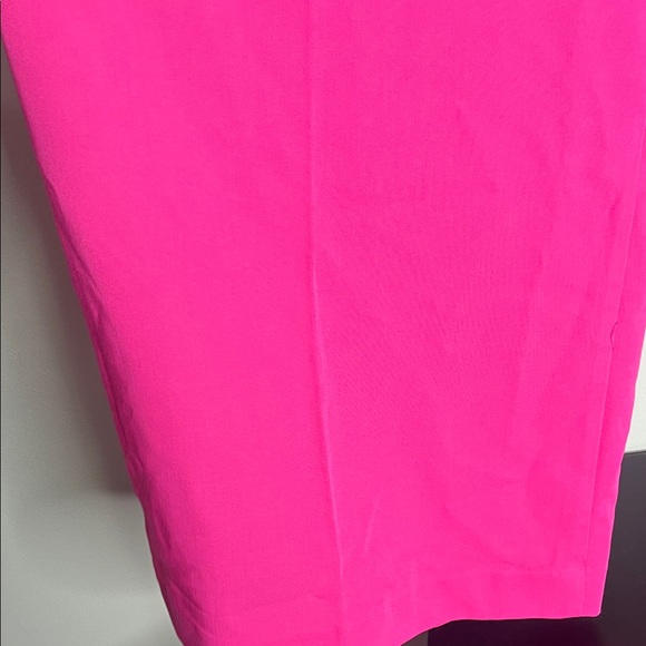 Ann Taylor Bold Pink Pants - Picture 4 of 4